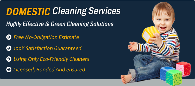 professional cleaning services